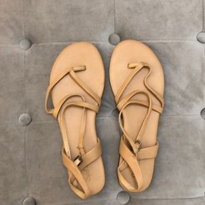 Splendid Sandals